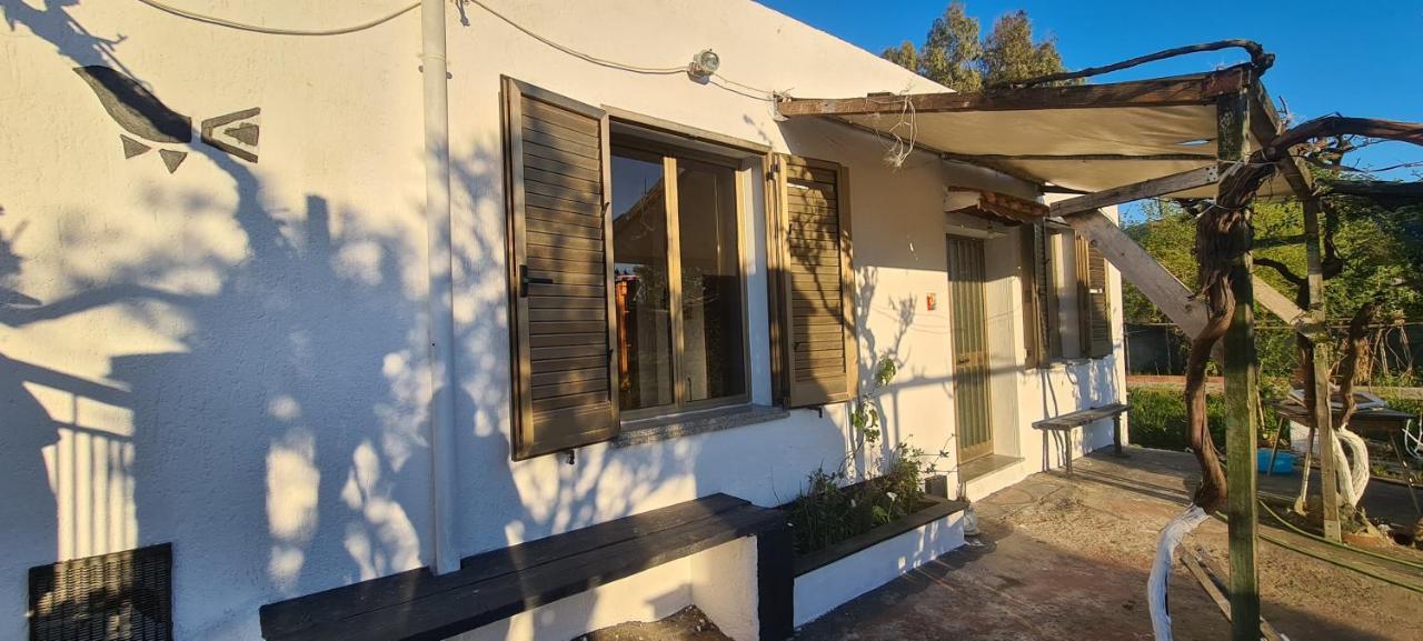 Cosy Home With Private Parking By The Sea Синискола Экстерьер фото